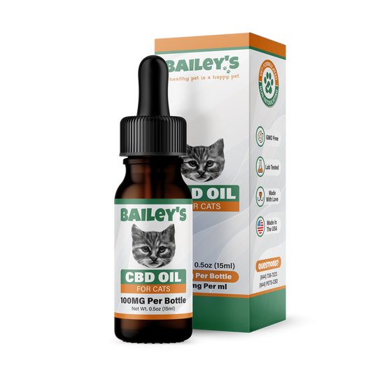 CBD Oil For Cats