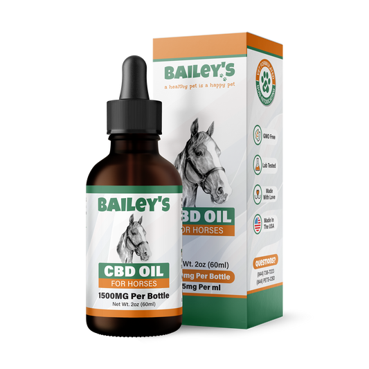 CBD Oil For Horses