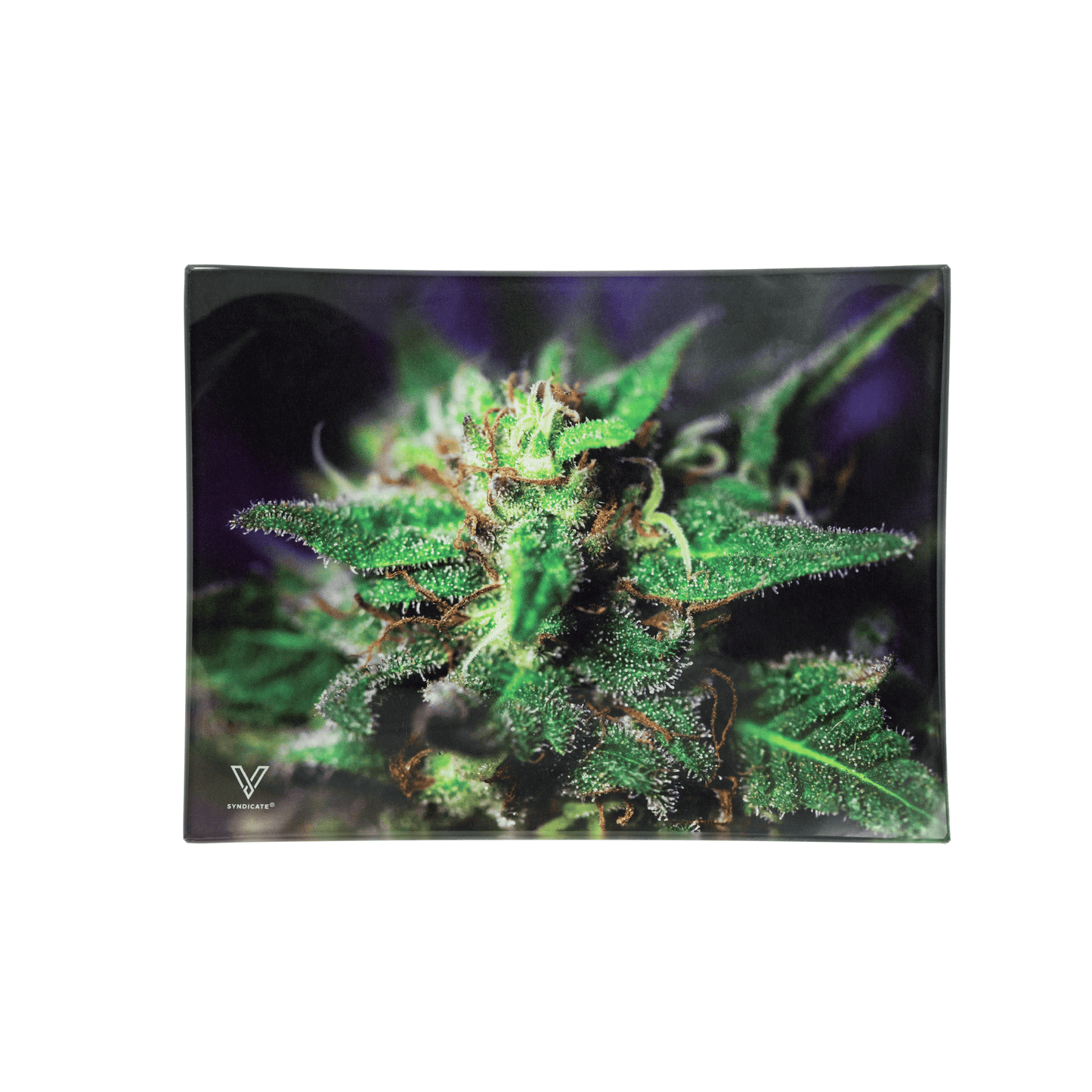Blue Dream Glass Rollin' Tray