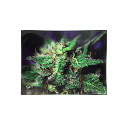 Blue Dream Glass Rollin' Tray