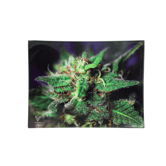 Blue Dream Glass Rollin' Tray